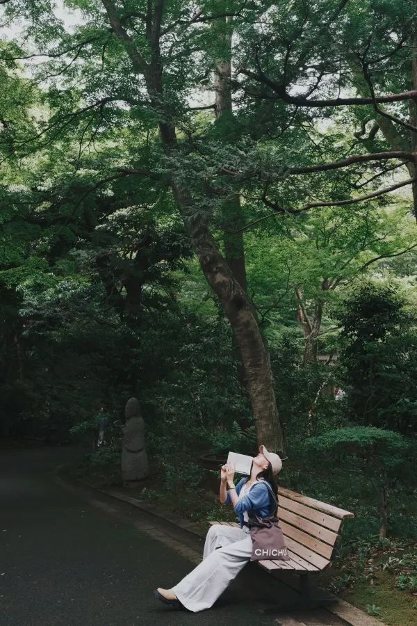 東京｜悠閒漫步·代代木公園到根津美術館 🚶‍♂️🌳🎨