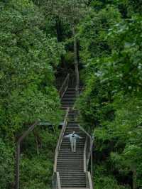 深圳秘境！森林綠道探險🌳