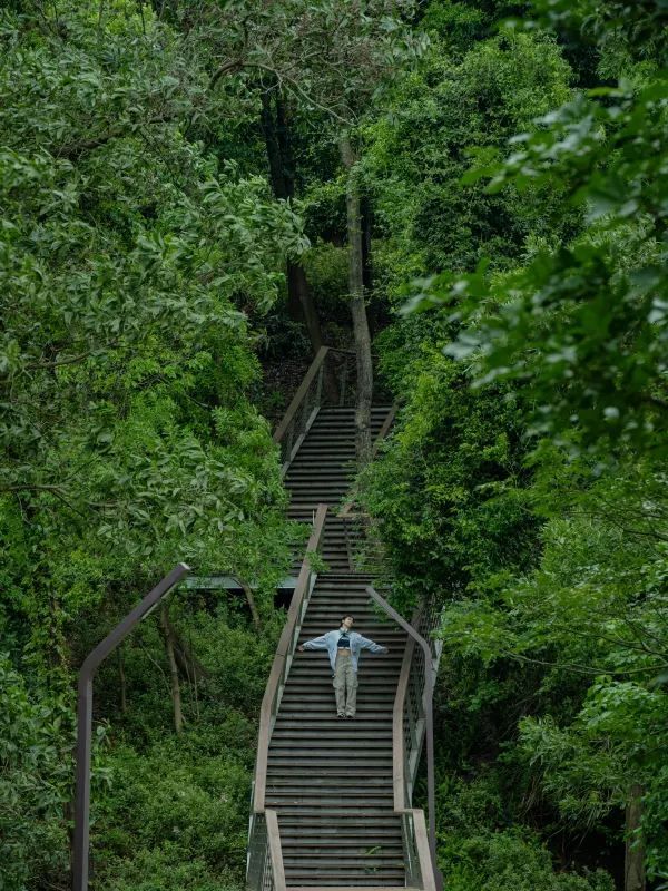 深圳秘境！森林綠道探險🌳