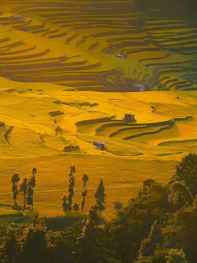 不要去大理和麗江!揭露雲南3個低調卻驚艷的私藏地!