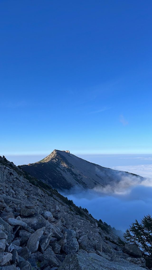 太白山|國慶出遊來太白山看慕容雲海。