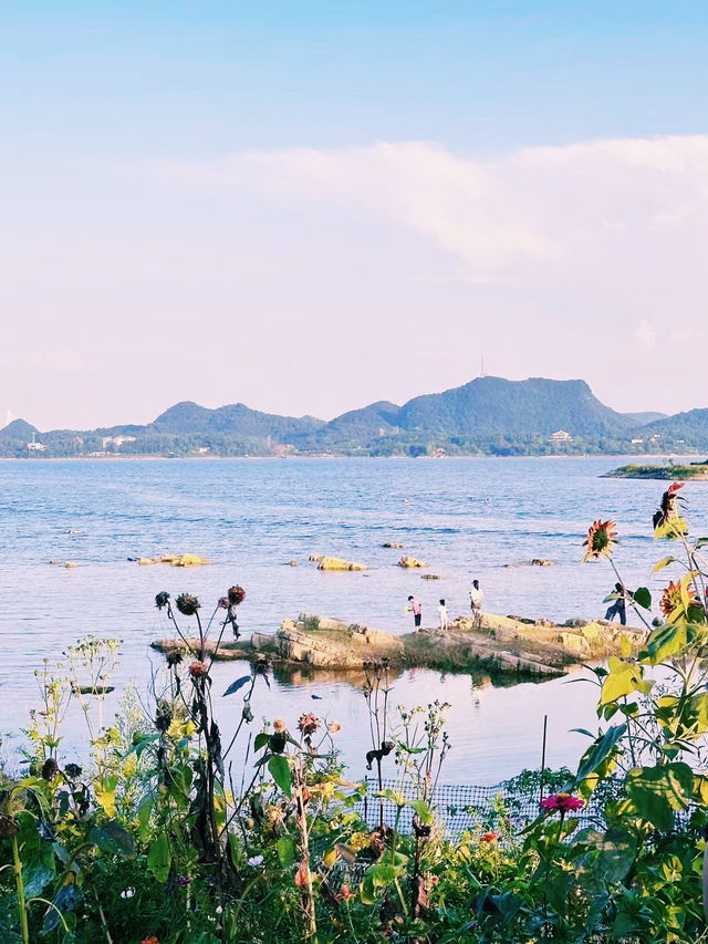 美國波士頓｜領略港口的浪漫風情。