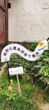 古街風華再現：沙縣東門古街的改造與傳承。