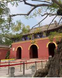 淮陽縣｜太昊陵｜人類老祖先之墓🪦。