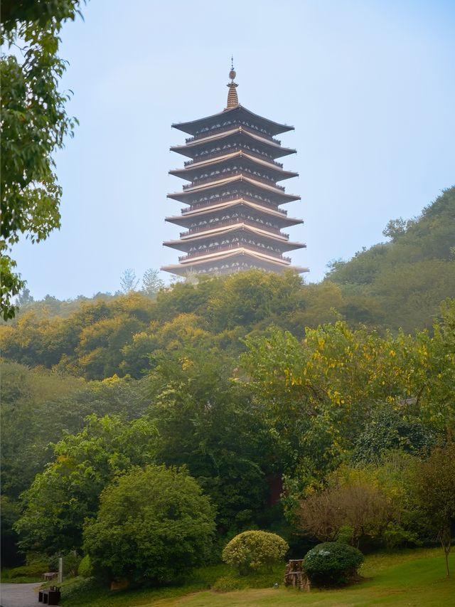 比起中山陵   秋天去南京我更推薦來這裡。
