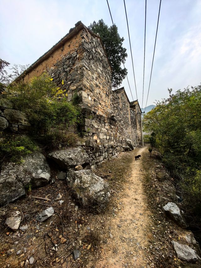 朝陽寺。