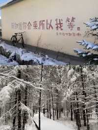哈爾濱·漠河真的追到了我的人生極光！！！