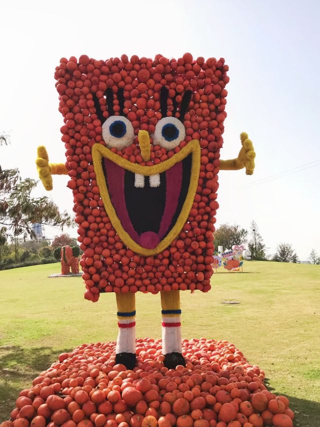 遛娃神器丨誤入南瓜園      合肥。