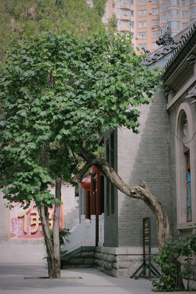 吉林旅遊攻略。