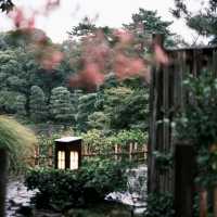 🌸 名古屋德川園：靜謐之美的歷史庭園 🏯🌿