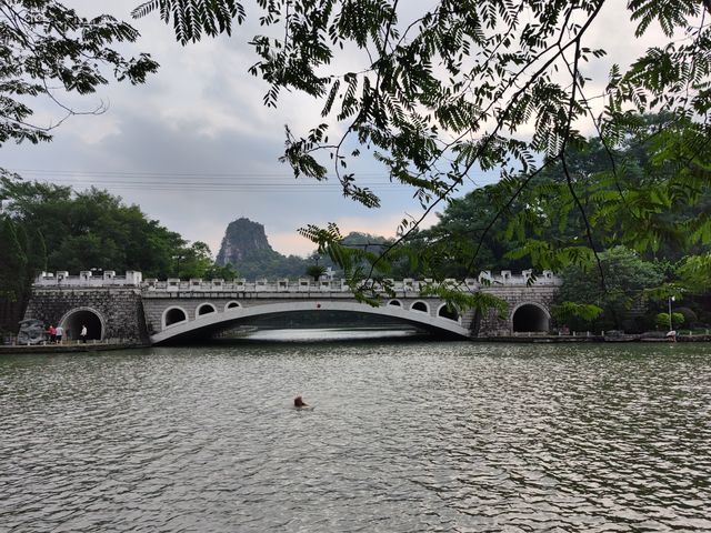 桂湖·桂林兩江四湖。