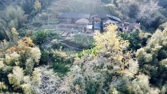 泉州德化丁榮村自駕遊攻略。