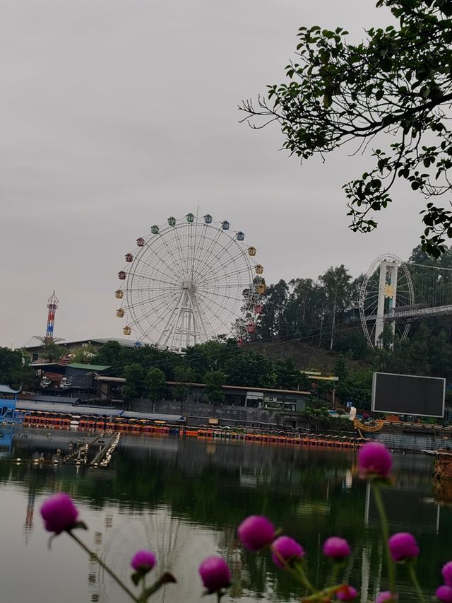 朋友圈炸開鍋了,都以為我去了雲南。 朋友圈炸開鍋了,都以為我去了雲南。