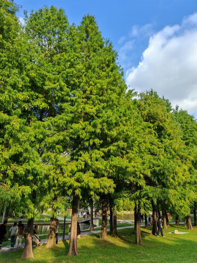 廈門南湖公園。