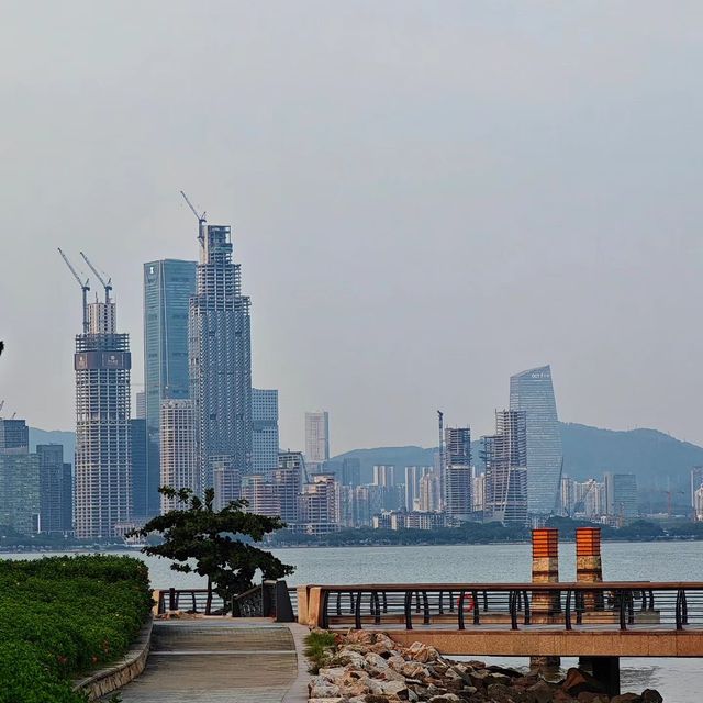 趣遊深圳灣，邂逅自然之美。
