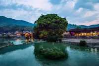 《大魚海棠》取景地！南靖土樓一站打卡。