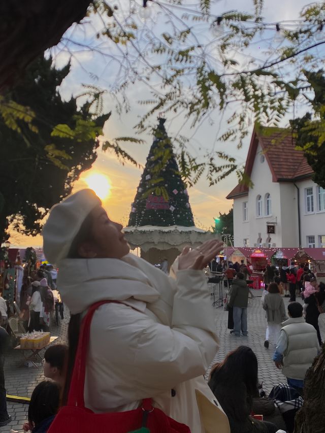 青島聖誕爵士市集,日落與海浪漫瘋了。。 青島聖誕爵士市集,日落與海浪漫瘋了。。