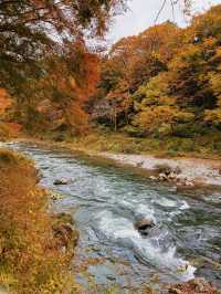 東京｜青梅御岳溪谷 關東紅葉秘境。
