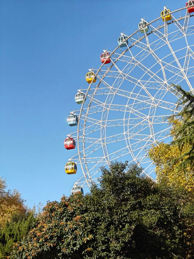 鄭州-碧沙崗公園秋季親子一日遊