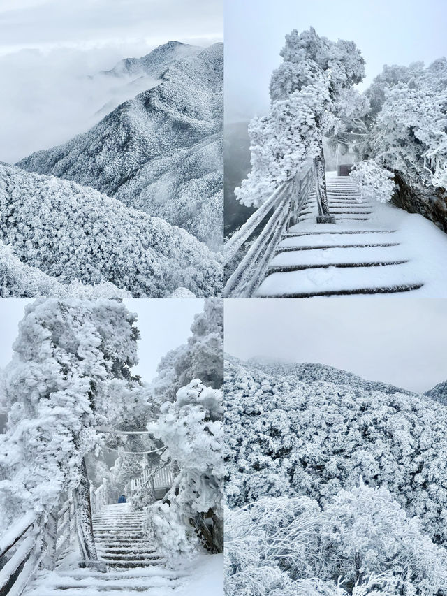 廣州周邊想看雪賞霧淞？來這裡就對了！