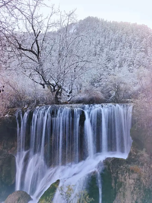 [Winter Fairy Tale] Jiuzhaigou Scenic Area, Sichuan, Winter Travel Guide