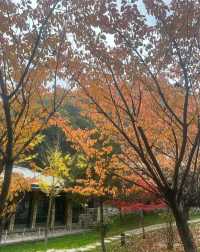 終南山