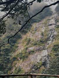 武功山—雲端草原的奇幻冒險，你敢來嗎？