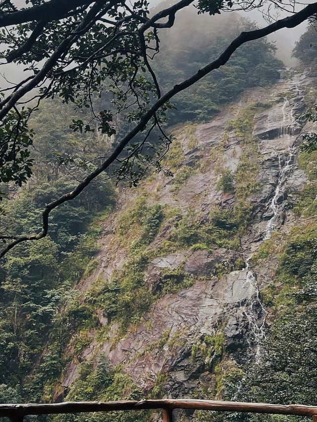 武功山—雲端草原的奇幻冒險，你敢來嗎？