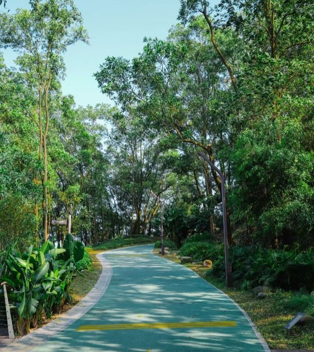 深圳徒步·休閒綠道適合新手任務