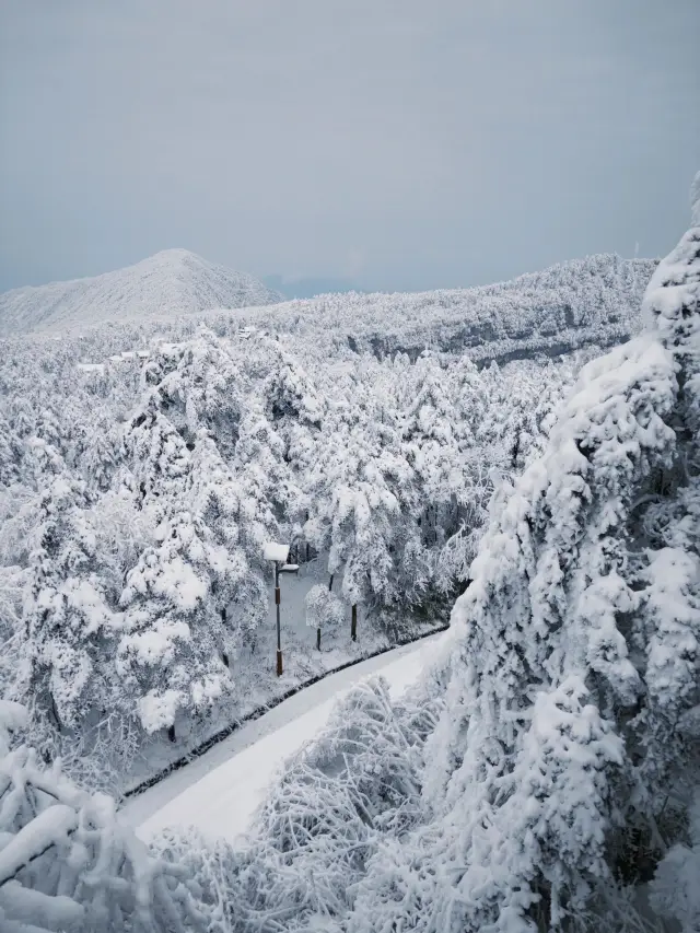 Don't Miss the Leshan-Emei Mountain 2-Day Tour! A Super Detailed Guide is Here!