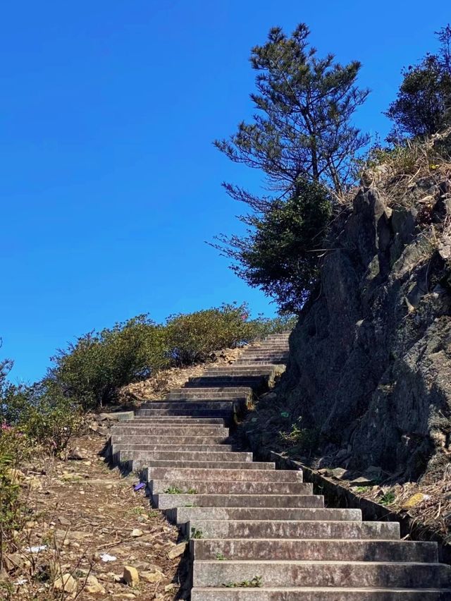 想體驗不一樣的旅行嗎？來大芹山吧！