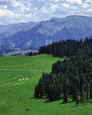 Explore Jiangbulake and Unlock the Golden Romance of Xinjiang