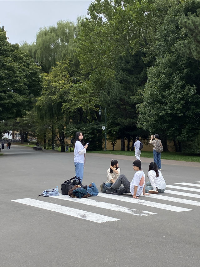 來札幌看最美校園 北海道大學
