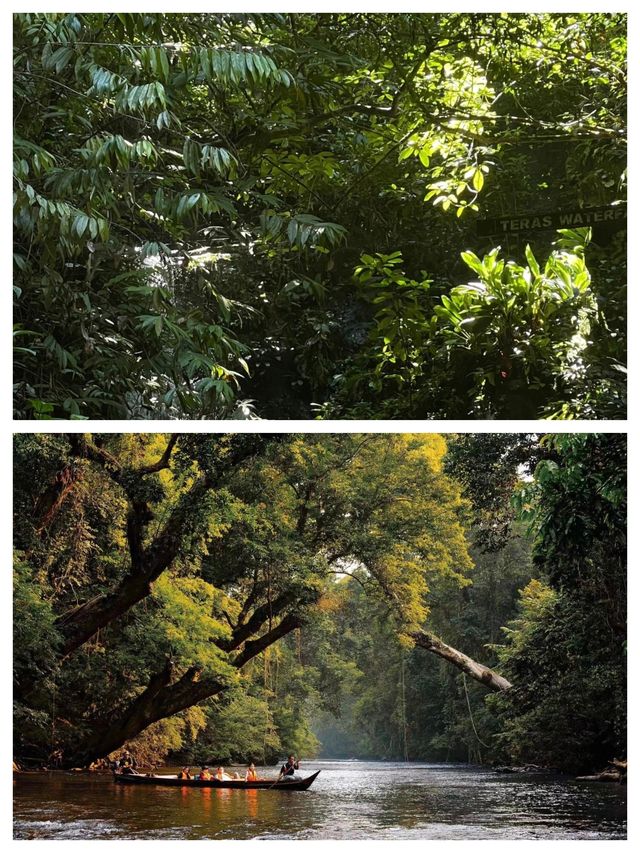 探索神秘多元的馬來西亞之旅