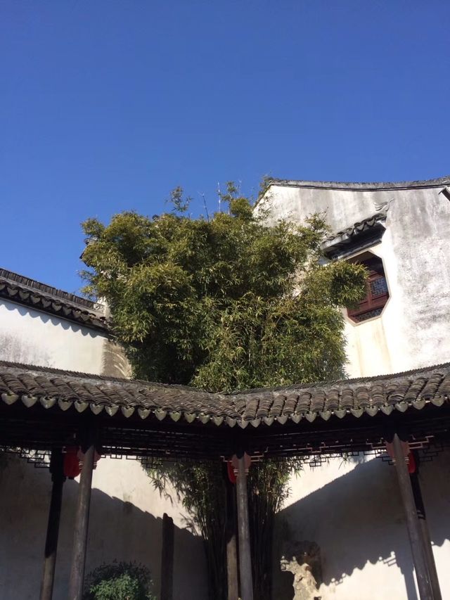 江南水鄉的冬天韻味