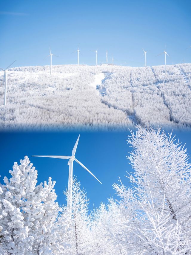白雪、冰晶、霧凇、大風車，包你一個冬天不後悔！