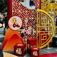 逛逛深圳2025迎春花市@羅湖愛國路花市