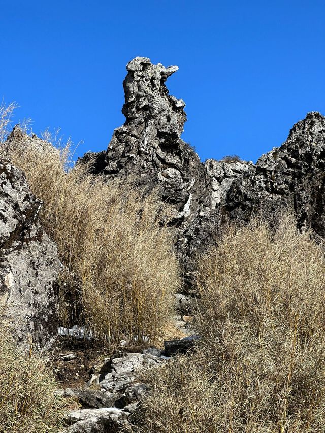 寒假去邊玩宜昌-神農架旅遊攻略來啦