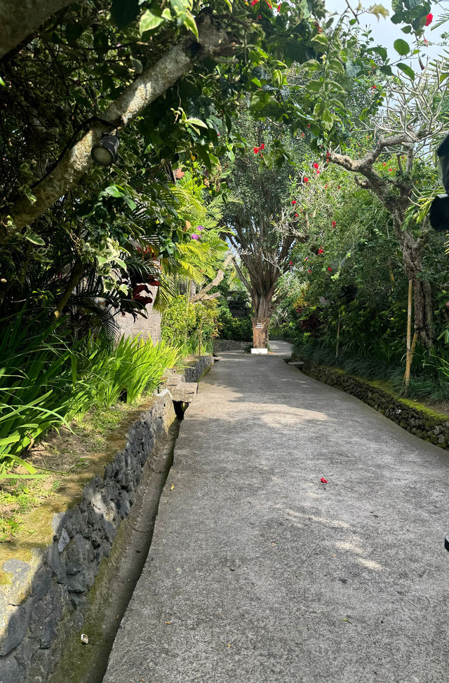 烏布維薩斯度假酒店 | 悠閒稻田之旅
