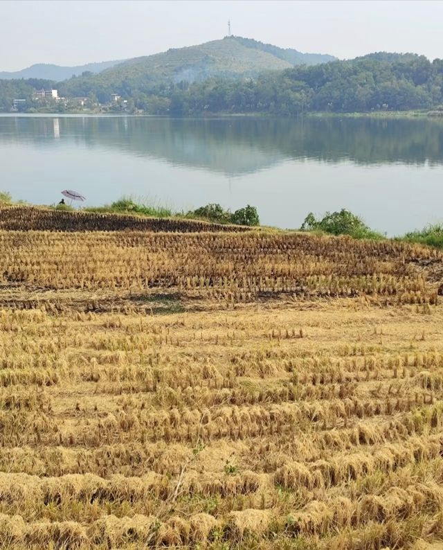 湖北孝感天紫湖