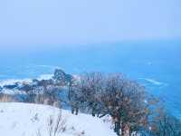 冬日小樽必打卡！祝津展望台的夢幻雪景