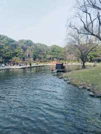 鬧市中竟有這樣的秘境-徐家匯公園