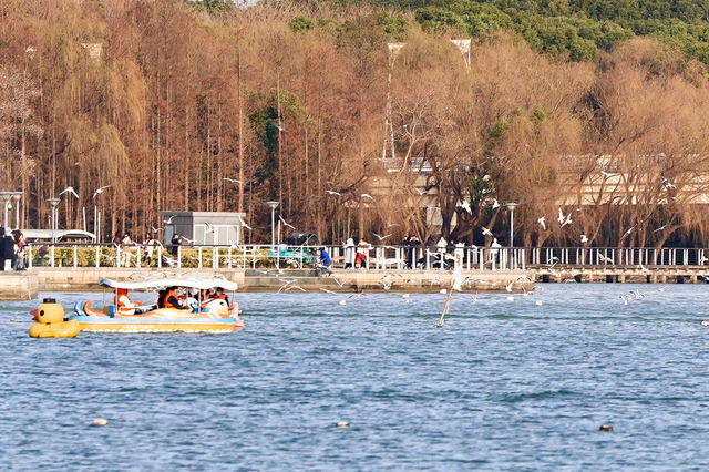 無錫｜湖邊城市的浪漫