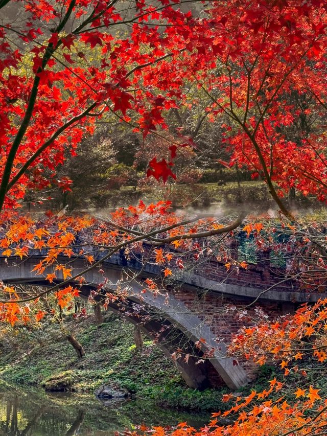 廣州出發1.5h直達廣東紅色天花板