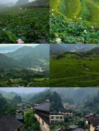麗水酒店排行榜，不知道住哪裡就看這篇！