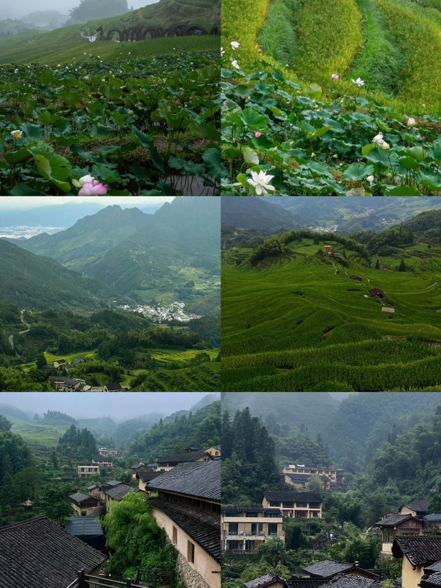 麗水酒店排行榜，不知道住哪裡就看這篇！