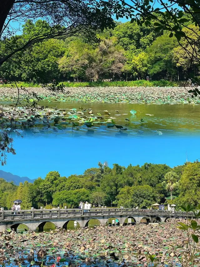 Qixingyan | A Super Detailed Guide to a Day Trip around Guangzhou and Foshan