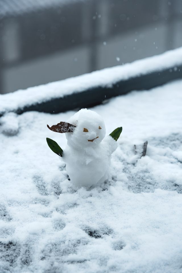 25年第一場春雪，下到了徑山寺