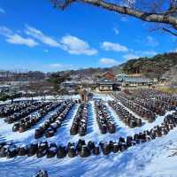 韓國冷門秘境，論山市2天1夜全攻略！