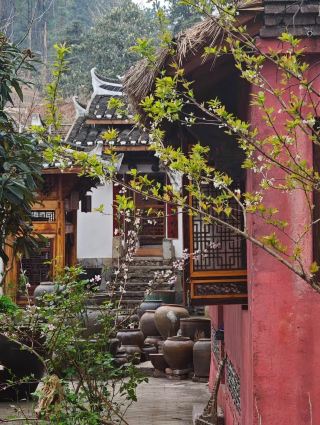 Embark on a Cultural Roots-Seeking Journey in Lixian County
